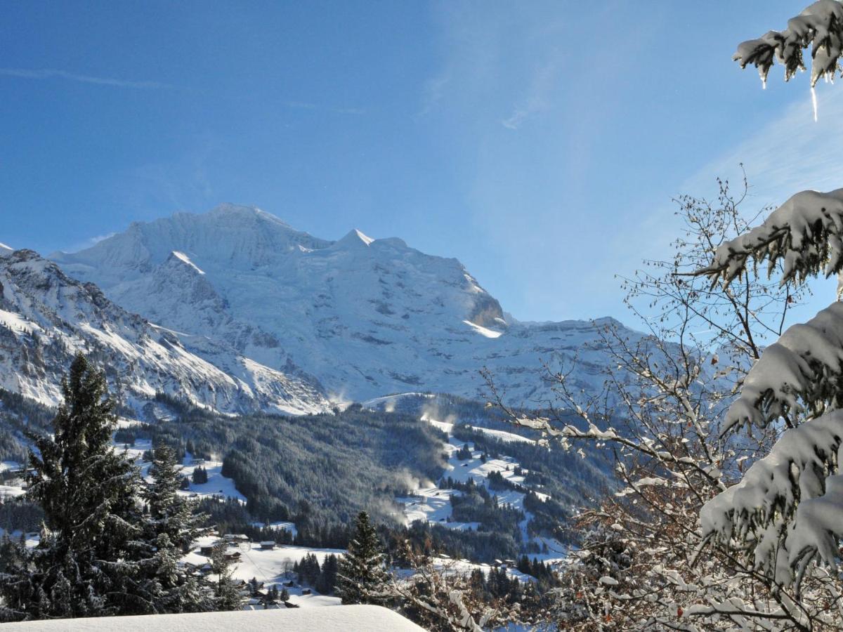 Apartment Eiger Residence Apt-A-425 By Interhome Wengen Exterior photo